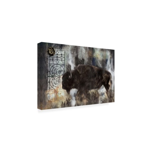 Marta Wiley 'Buffalo Abstract' Canvas Art,30x47